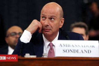 Political News: Gordon Sondland: US ambassador to EU accused of sexual misconduct – BBC News