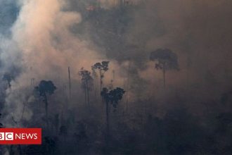 Political News: Amazon fires intensify Andes glacier melt – BBC News