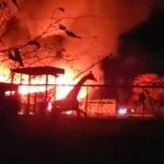 Latest News: 10 animals were killed in a fire at the African Safari Wildlife Park in Ohio – CNN
