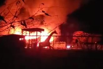 Latest News: 10 animals were killed in a fire at the African Safari Wildlife Park in Ohio – CNN