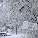 Latest News: Snowy, windy, wet weather may make getting home from Thanksgiving a challenge – NBC News