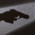 Latest News in Africa: Eastern Cape woman fights off two armed robbers on her farm, shoots one