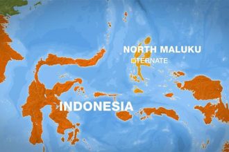 Strong quake hits Indonesia sea; tsunami risk reported