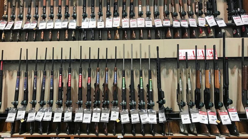 Fox News Today: More than 100 Virginia cities, counties declare themselves gun sanctuaries as Dems prepare to take legislature