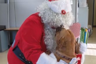 Fox News Today: Pennsylvania dog at shelter for over 900 days has one Christmas wish: to get adopted