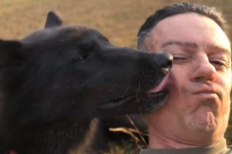 Fox News Today: US veteran finds note in mailbox saying his beloved dog was shot dead because she didn’t have a leash on