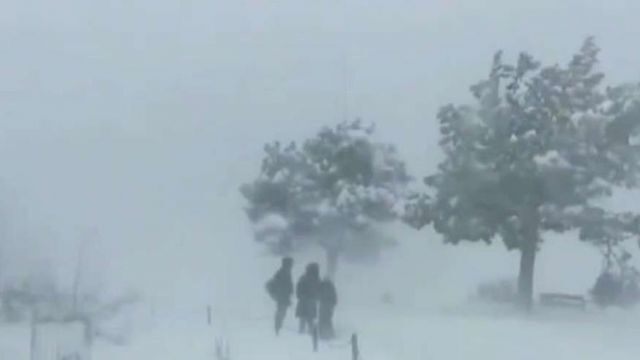 Fox news today: Powerful winter storm causes chaos with holiday travel