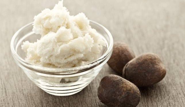 demand-for-shea-butter-in-the-north-shoots-up-following-harmattan-season
