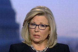 liz-cheney-to-seek-reelection-in-the-house,-rules-out-senate-bid