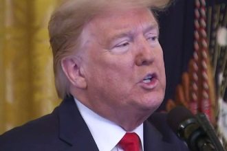 trump-praises-pompeo-over-spat-with-npr-reporter:-‘that-was-very-impressive’