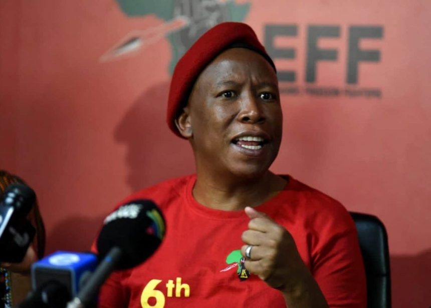 Nothing causes more outrage than Julius Malema quotes. The EFF leader is the pantomime villain of South African politics. Considering he shares a stage with Jacob Zuma and Malusi Gigaba, that is some going.