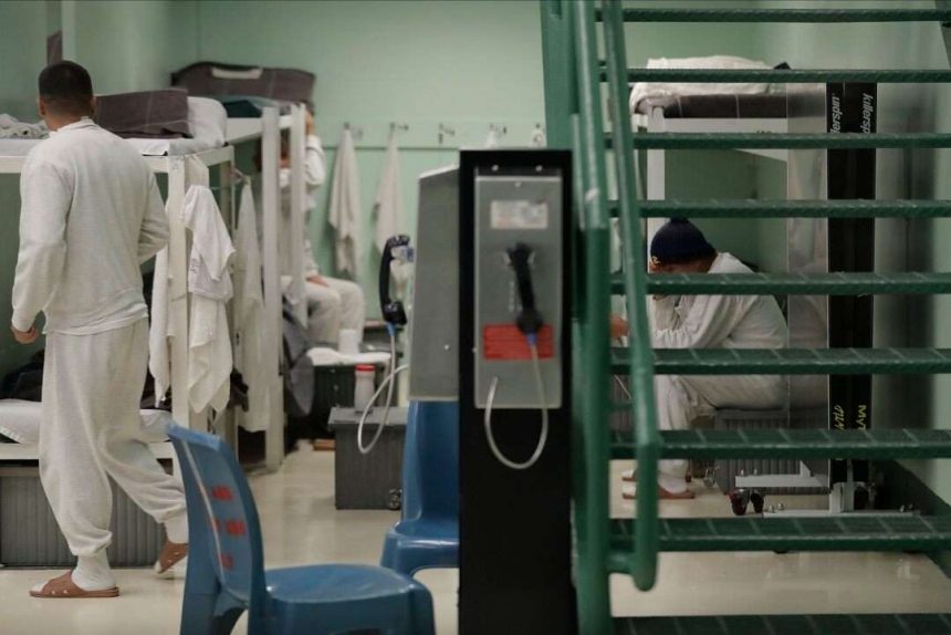Trump administration ordered to restore immigration detention hotline