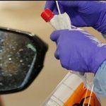 Foreign disinformation campaign on fake national quarantine trying to cause panic: officials