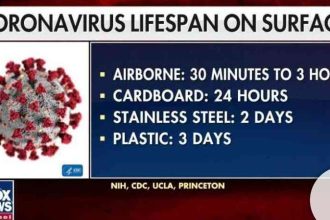 Israel seemingly backs off potential quarantine requirement for certain US states, says new steps will apply to 'all countries'(Opens in a new browser tab) Copy linkSanders threatens - "I would use military if China attacked Taiwan"(Opens in a new browser tab) Copy linkNEWS In: Coronavirus cases rise to 11 in Ghana(Opens in a new browser tab) Copy linkProbing of Durham is expected to end this summer(Opens in a new browser tab) Copy linkTrump sounds off on juror ‘bias’ in Roger Stone case, amid new revelations(Opens in a new browser tab) Copy linkTrump releases guidelines to slow coronavirus spread in '15 days,' but warns crisis could stretch to summer