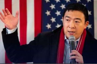 Yang demands Congress get its 'sh-- together' and approve payments to all Americans