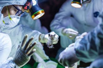 History of coronavirus