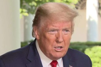 Trump says critics want him to keep economy closed until election: 'It's a political thing'