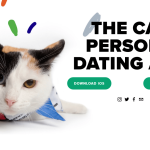 Technology has brought much new development into our lives including what we consider strange. Let's consider reviews for the new dating app named Tybby Dates which was launched on Saturday, August 8th, 2020 for cat lovers.