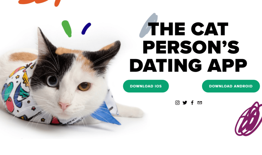 Technology has brought much new development into our lives including what we consider strange. Let's consider reviews for the new dating app named Tybby Dates which was launched on Saturday, August 8th, 2020 for cat lovers.