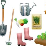 Must-have-Gardening-Equipment-in-your-Garage