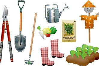 Must-have-Gardening-Equipment-in-your-Garage