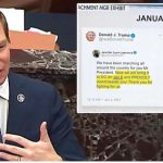 Trump backer slams Swalwell, Dems after phony Twitter ‘blue check’ added to her tweets