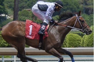 The Brief But Complete Guide to Sports Betting