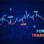 8 Crucial Forex Trading Tips for Beginners