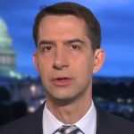 COVID relief bill offers convicted murderers stimulus checks, Cotton slams