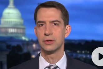 COVID relief bill offers convicted murderers stimulus checks, Cotton slams