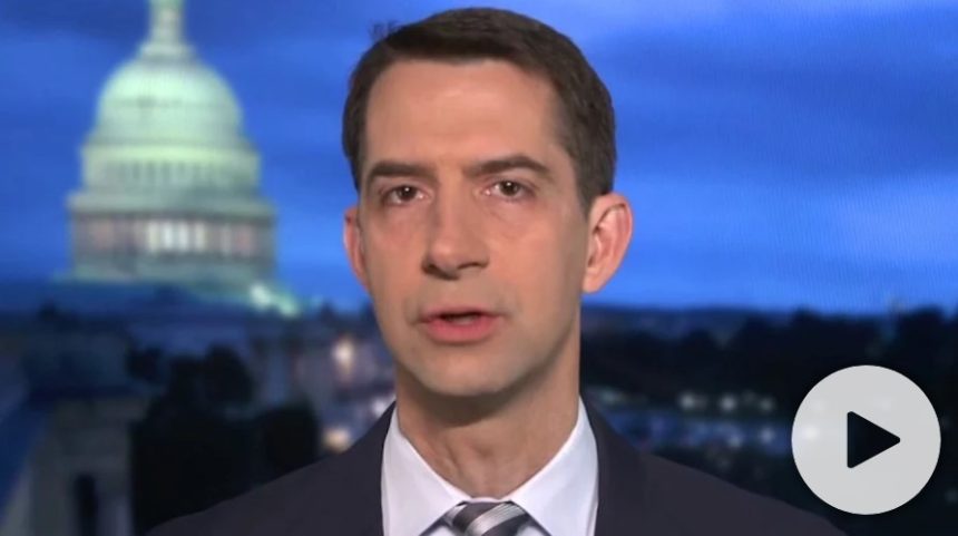 COVID relief bill offers convicted murderers stimulus checks, Cotton slams