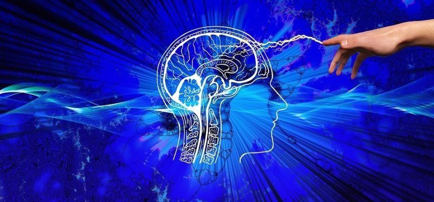 How Can I Improve My Neuroplasticity and Become Smarter?