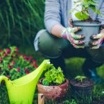 4 Edging Solutions That Will Make Your Garden Stand Out This Spring