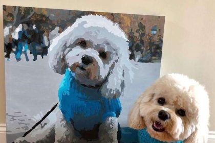 Stress Can Go Away with Paintings