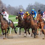 Horse Racing Fact Guide: What To Know Before You Go