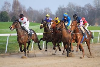 Horse Racing Fact Guide: What To Know Before You Go