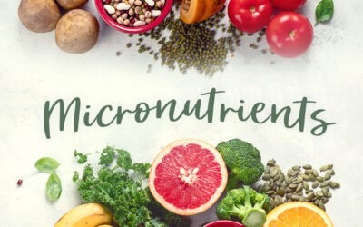 Why Are Mirco-Nutrients Important for Our Body?