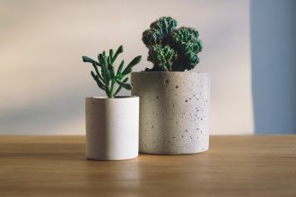 Store plants with care