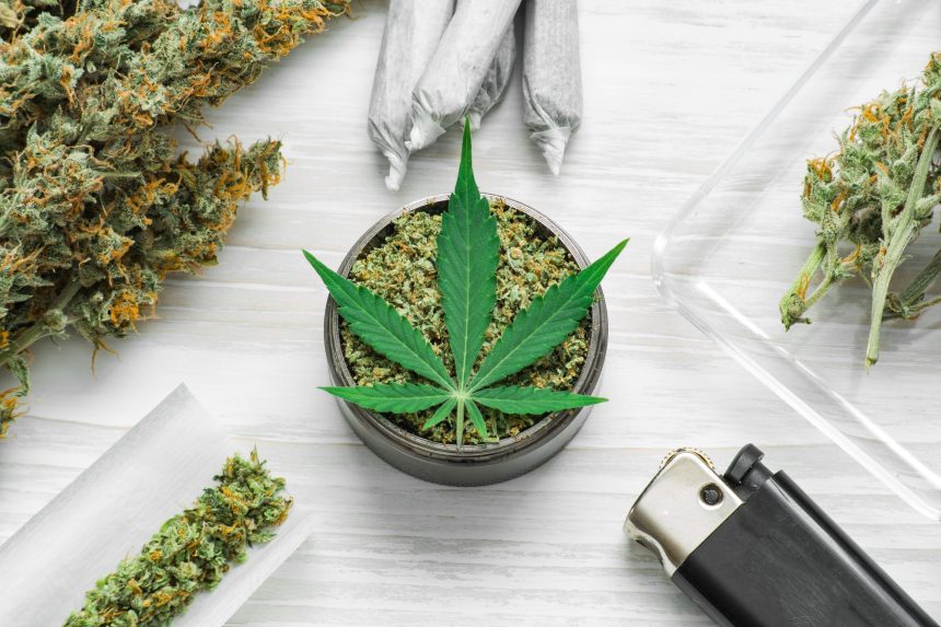 CBD Flowers vs. Other CBD Products: Which is Right for You?