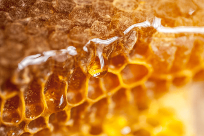 Why Raw Honey is Good for Health
