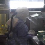 A man in China may be the world's first human to be infected with H10N3 strain of bird flu. What we know.