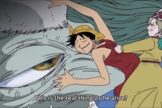 One Piece Filler