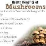 Benefits of Mushrooms