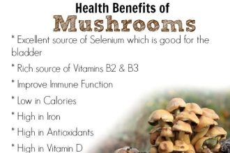 Benefits of Mushrooms