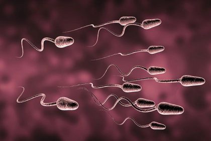 How low Testosterone can affect your marriage