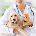 Pet insurance