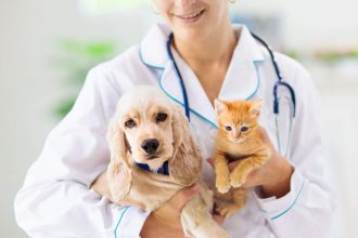 Pet insurance