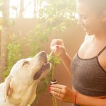 CBD has been an active agent to act as an anti-tumor. CBD controls cancer traits in the breast, prostate, brain, and lungs, even in animals. Due to the property of CBD to kill the dead cells and harmful cells of cancer, the treatment is not destructive to humans. It is a proven, natural recovery element.