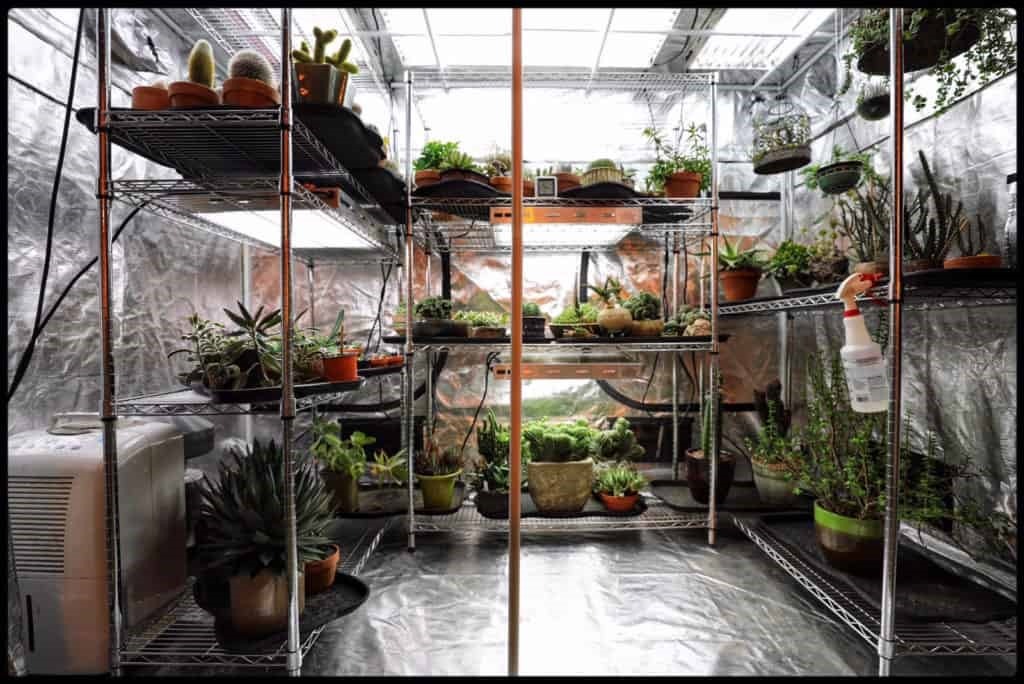 ● Creates a more personal experience: Growing indoors with grow tents provides you the unique opportunity to create something that is truly yours in every way. You're able to express yourself and have control of what goes into the tent or onto it because no one else will be around! This leads to greater satisfaction for you as an individual, which makes having a grow tent all the better reasons why using a grow tent is the best choice for your needs.