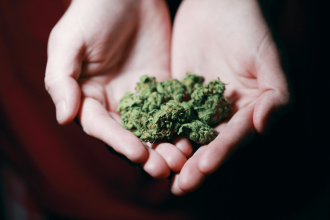 7 Qualities That the Best Online Weed Delivery Should Have